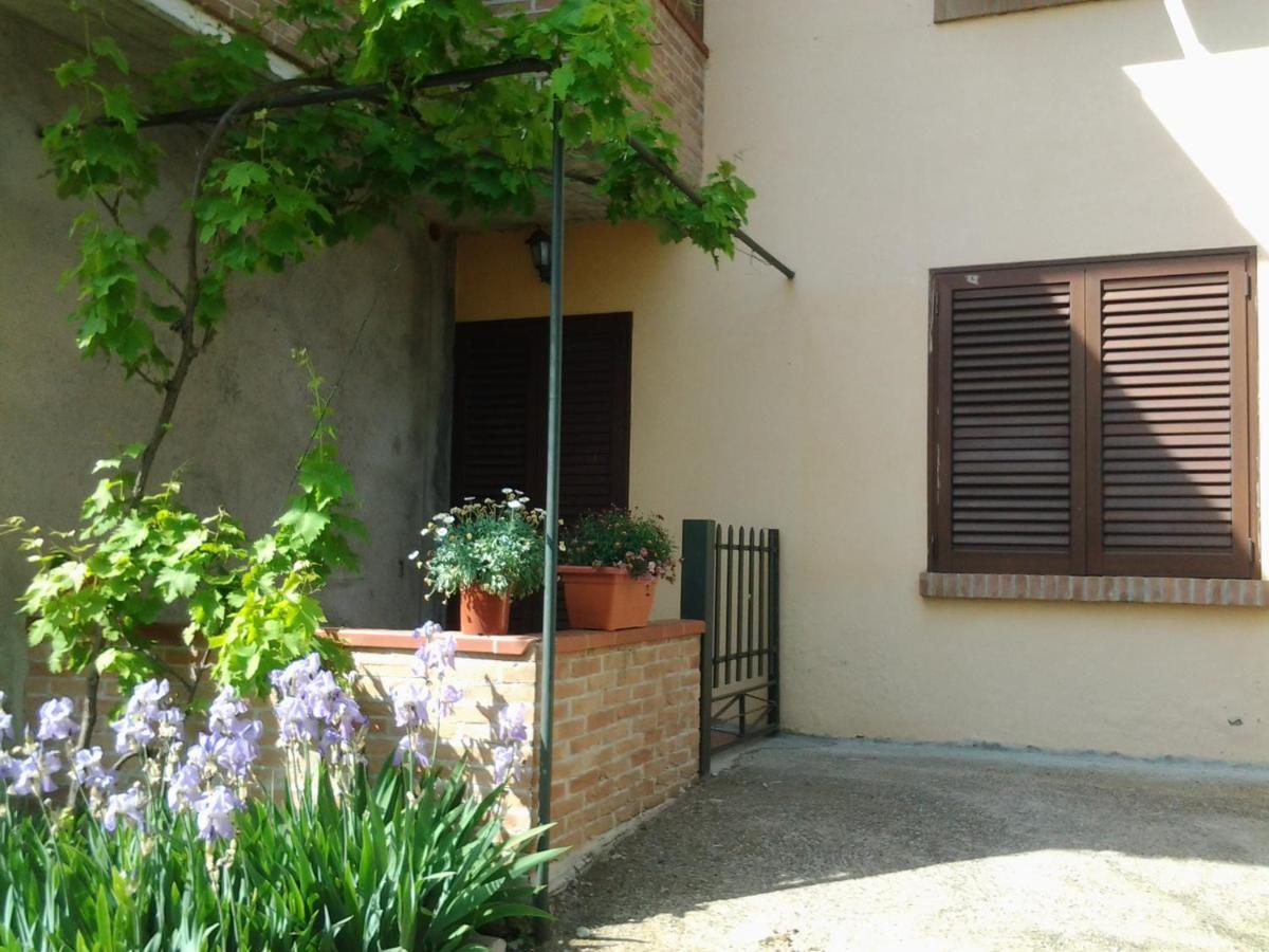 Appartamento In Collina "La Perla" Riparbella Exterior foto